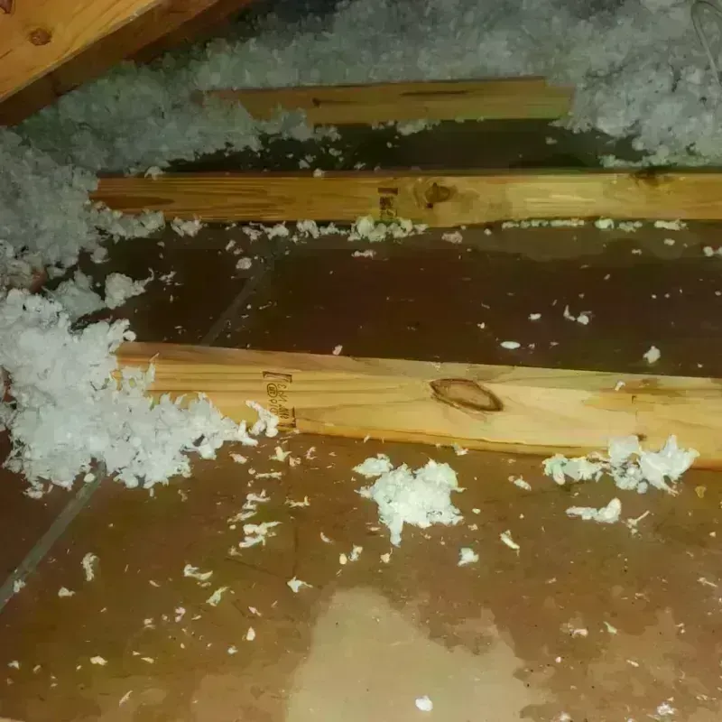 Attic Water Damage in Dundas, MN